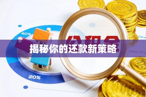 安达揭秘你的还款新策略