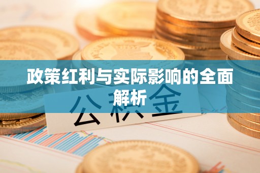 安达政策红利与实际影响的全面解析