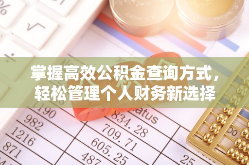 安达掌握高效公积金查询方式，轻松管理个人财务新选择
