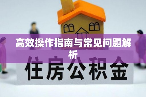 安达高效操作指南与常见问题解析